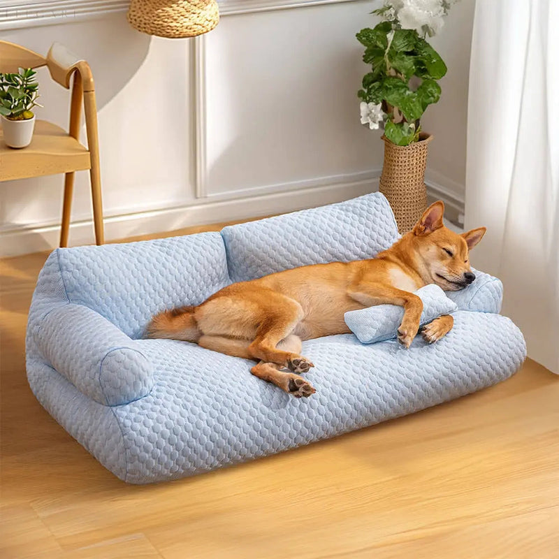 Schlafender Hund auf blauem, waschbarem Plüsch-Hundebett im Wohnzimmer.