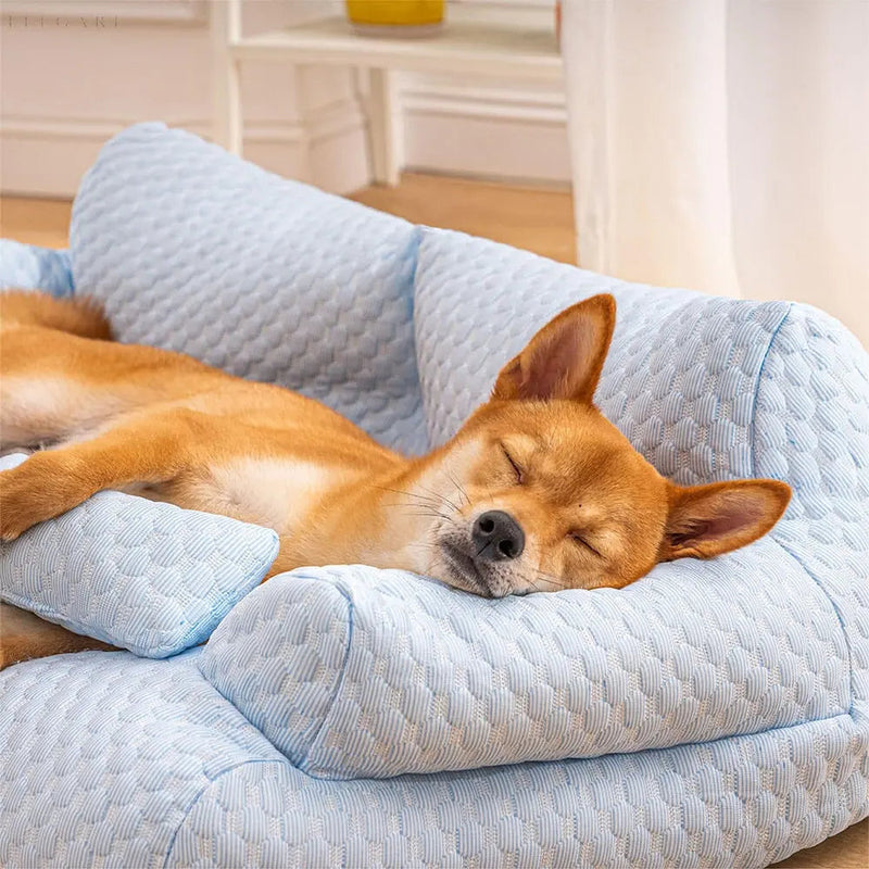 Schlafender Hund auf blauem, waschbarem Plüsch-Tierbett, bequem und warm.