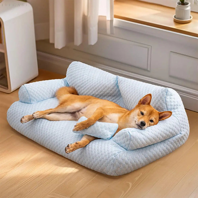 Hund auf blauem, waschbarem Plüsch-Hundebett, bequemes Tierbett, Wohnzimmer.