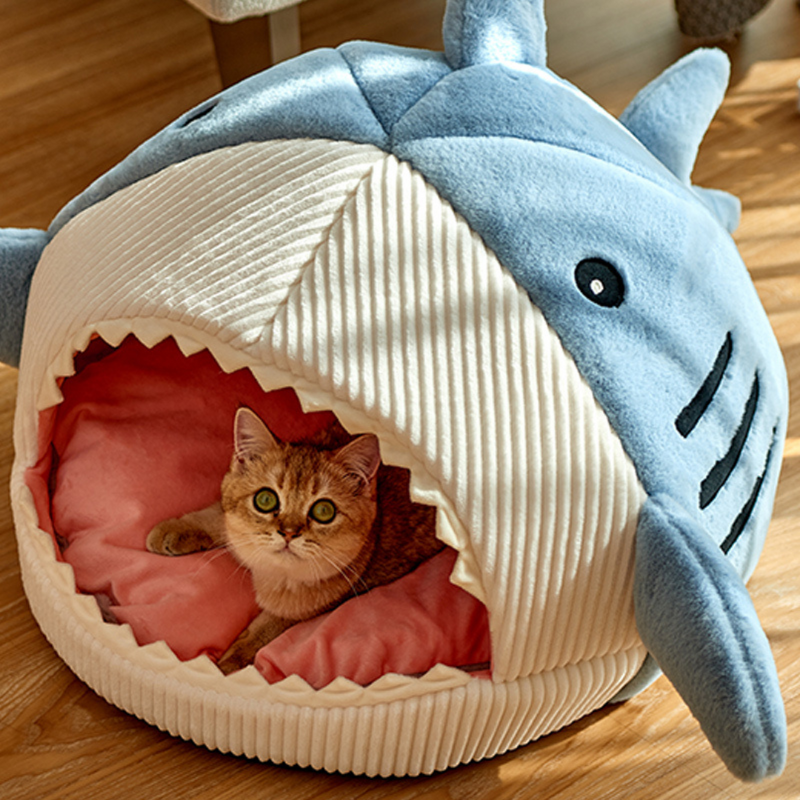 Katze in blauem Haifisch-Katzenbett mit rosa Kissen, gemütlich, lustig, Haustierbedarf.