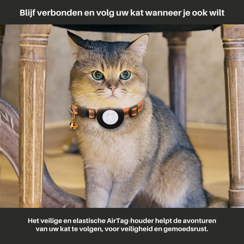 Braun-graue Katze mit AirTag-Halsband, elastisch, orange-schwarz, unter Holztisch.