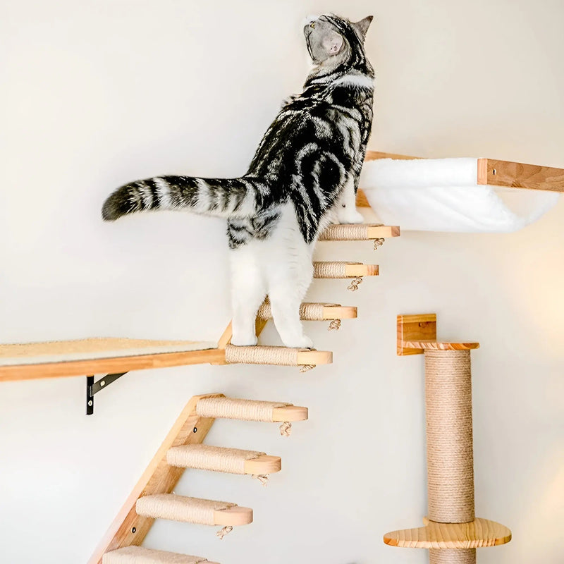 Katzenspielplatz mit Kletterwand, Holzstufen und Kratzbaum, ideal für aktive Katzen.