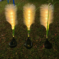 Drei leuchtende LED-Solar-Gartenleuchten in Federform auf Rasen bei Nacht.