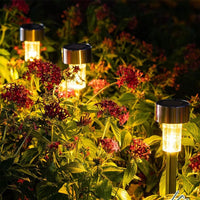 Solarbetriebene Gartenleuchten aus Edelstahl, beleuchten Blumenbeet, energiesparend, wetterfest.