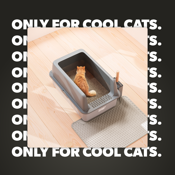 Edelstahl Katzenklo – SteelClean