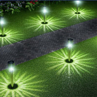 Solarbetriebene Gartenleuchten auf Rasen neben gepflastertem Weg, energiesparend, modern.