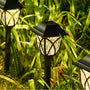 Schwarze Solar-Gartenleuchten im Gras, LED, energiesparend, dekorativ, wetterfest.