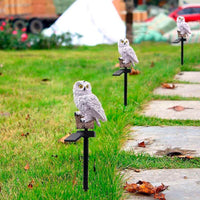 Deko-Eule auf Rasen, wetterfest, realistisch, Gartenfigur, weiß, Kunststoff, Vogelscheuche.