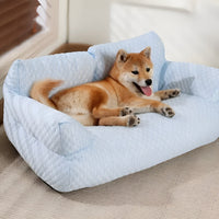 Hund auf blauem, waschbarem Plüschbett, bequemes Haustierbett, gemütlich, Tierzubehör.