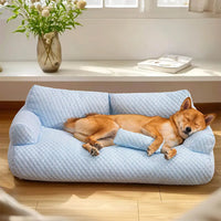 Hund schläft auf blauem, waschbarem Plüsch-Hundebett im Wohnzimmer, bequem und warm.