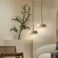 Zwei moderne Hängelampen aus Beton und Holz in minimalistischem Wohnzimmer mit Pflanze.
