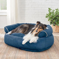 Hund auf blauem Hundebett, gemütlich, weiches Material, Wohnzimmer, Haustierkomfort.
