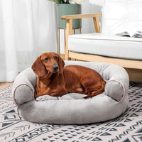 Dackel auf grauem Hundebett im Wohnzimmer, gemütlich, modernes Design, Haustierkomfort.