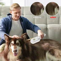 Mann bürstet Hund mit elektrischer Haustierbürste auf grauem Sofa, Vorher-Nachher-Effekt.
