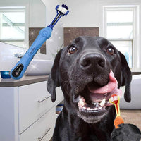 Schwarzer Hund mit blauer Hundezahnbürste im Badezimmer, Zahnpflege für Haustiere.