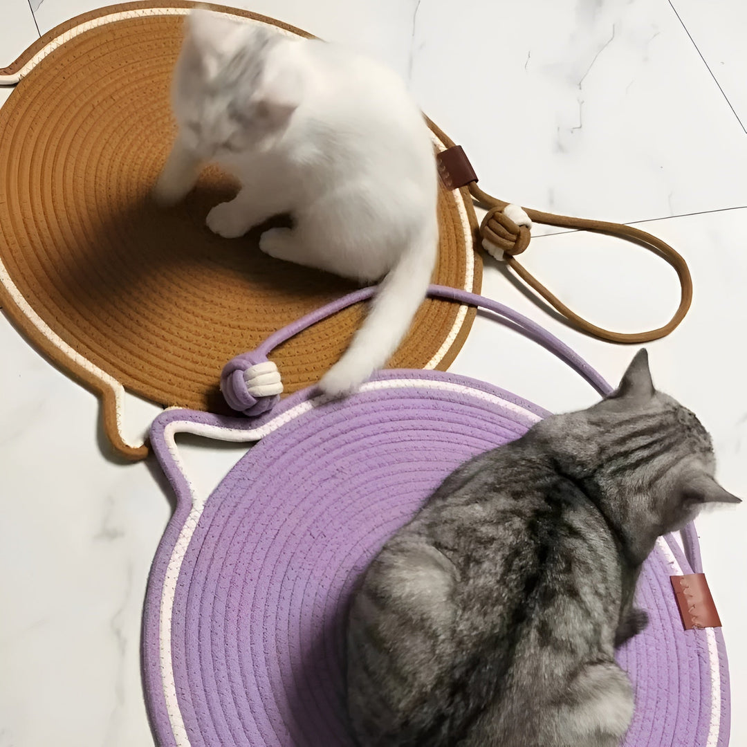 Zwei Katzen auf runden, geflochtenen Katzenmatten in Braun und Lila auf weißem Boden.