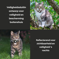 Zwei Katzen mit reflektierenden Halsbändern für Sicherheit und Sichtbarkeit im Freien.