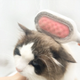 Katzenbürste mit rosa Polster, entfernt lose Haare von weiß-brauner Katze, Haustierpflege.