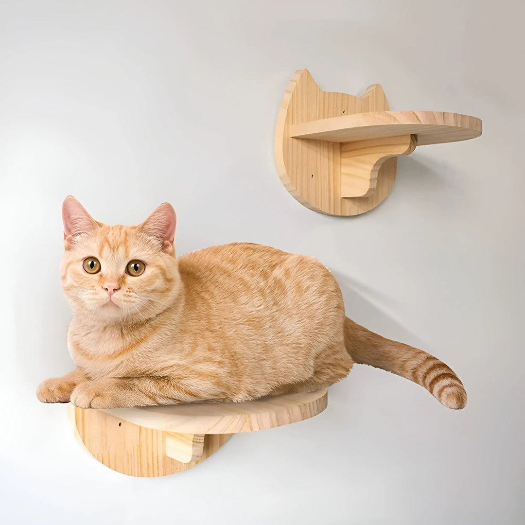 Beige Katze auf hölzernem Wandregal, Katzenmöbel, modernes Design, Heimdekoration.