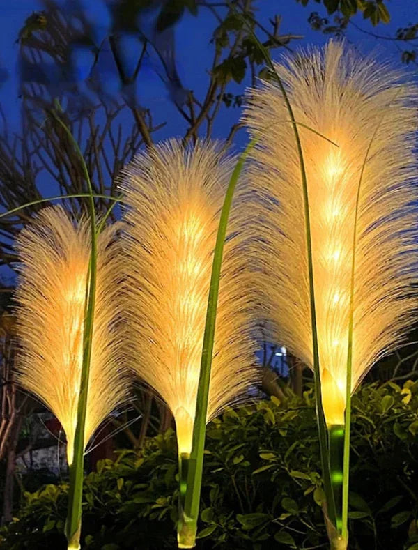 Leuchtende Pampasgras-Gartenleuchten, LED, dekorativ, warmweiß, Outdoor-Beleuchtung.